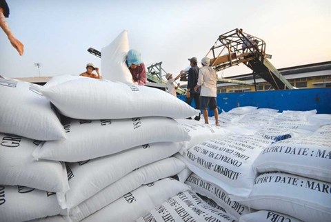 'Xin giấy phép xuất khẩu gạo tốn 20.000 USD': Bộ Công thương vào cuộc 1