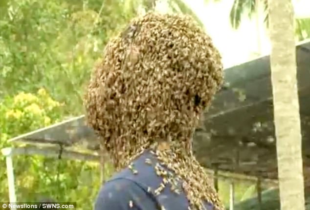 Kinh dị người đàn ông để 60.000 con ong bu kín mặt vẫn bình thản đọc sách - Ảnh 2.