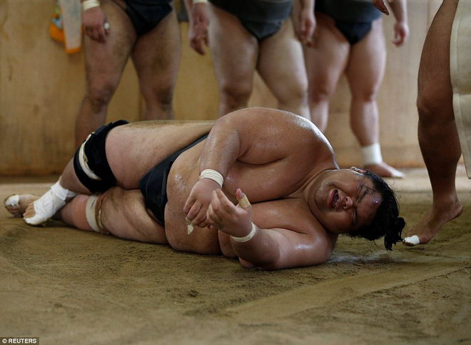 Vén màn cuộc sống của các đấu sĩ sumo tinh nhuệ tại Nhật Bản: Nạp 8.000 calo/ngày, phải thở bằng máy oxy khi ngủ - Ảnh 1.