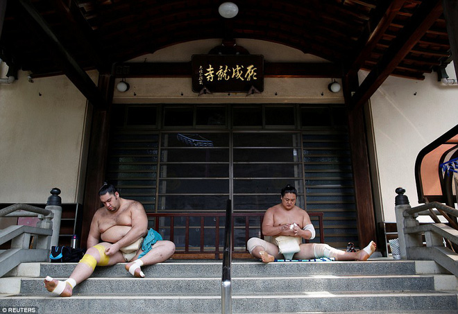 Vén màn cuộc sống của các đấu sĩ sumo tinh nhuệ tại Nhật Bản: Nạp 8.000 calo/ngày, phải thở bằng máy oxy khi ngủ - Ảnh 9.