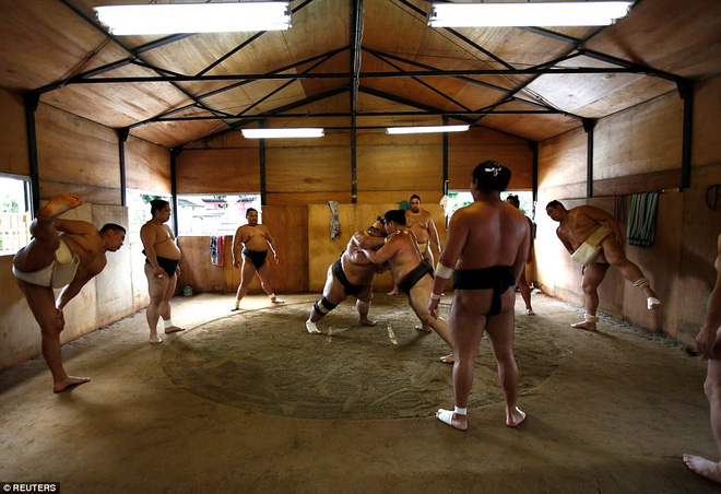 Vén màn cuộc sống của các đấu sĩ sumo tinh nhuệ tại Nhật Bản: Nạp 8.000 calo/ngày, phải thở bằng máy oxy khi ngủ - Ảnh 4.