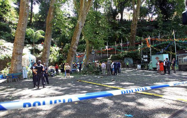 Bồ Đào Nha: Cây sồi 200 tuổi đổ sập gần nhà thờ, ít nhất 12 người tử vong - Ảnh 2.