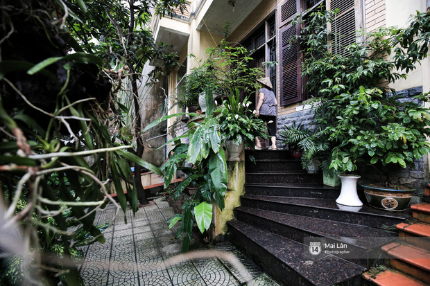 Căn nhà cổ kính, rợp bóng cây xanh của ông trùm Phan Thị - NSND Hoàng Dũng - Ảnh 4.