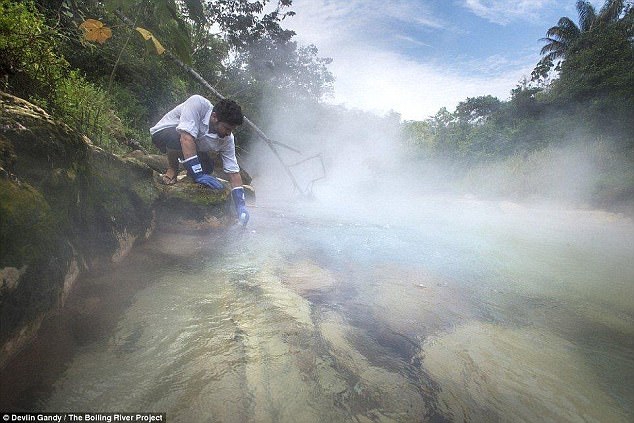 Khúc sông tử thần kỳ bí của rừng Amazon - luộc chín mọi sinh vật xấu số rơi vào trong đó - Ảnh 6.