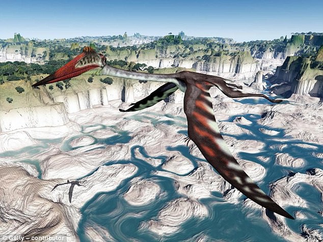 Hé lộ gã khổng lồ mới thống trị bầu trời - nỗi ám ảnh của khủng long mặt đất - Ảnh 2.