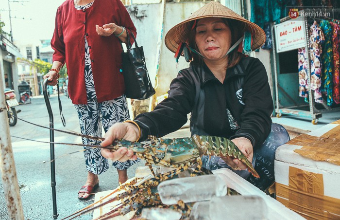 Mang tôm hùm từ vùng tâm bão số 12 lên Sài Gòn, người nuôi nghẹn ngào bán với giá rẻ - Ảnh 5.