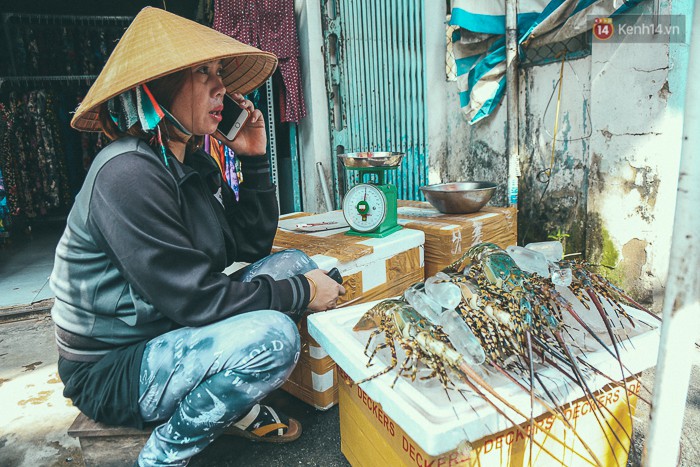 Mang tôm hùm từ vùng tâm bão số 12 lên Sài Gòn, người nuôi nghẹn ngào bán với giá rẻ - Ảnh 3.