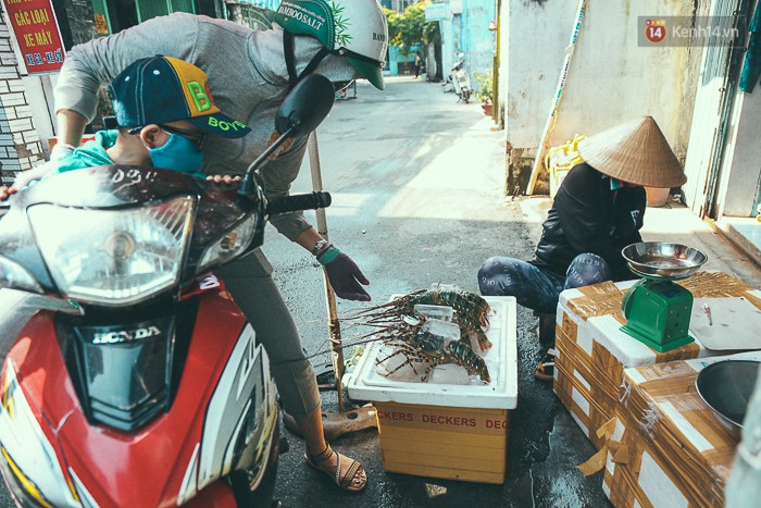 Mang tôm hùm từ vùng tâm bão số 12 lên Sài Gòn, người nuôi nghẹn ngào bán với giá rẻ - Ảnh 2.