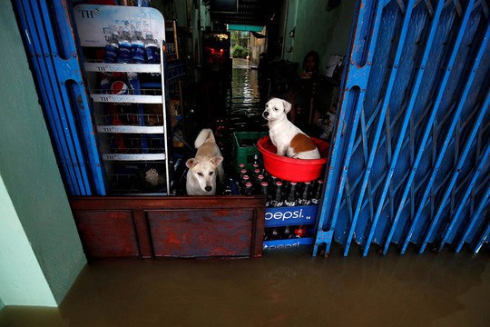 Hình ảnh lũ lụt miền Trung ngập tràn báo chí nước ngoài - Ảnh 6.