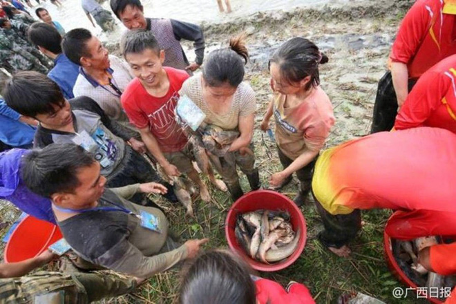 600 người quần thảo dưới đầm lầy, săn bắt, giành giật hơn 3000 con cá 7 600 người quần thảo dưới đầm lầy, săn bắt, giành giật hơn 3000 con cá 7