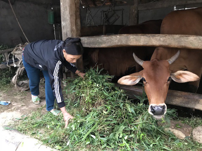 Cô giáo mầm non nhận lương hưu 1,3 triệu tự thưởng cho mình bộ quần áo thể thao nhân 20/11 4 Cô giáo mầm non nhận lương hưu 1,3 triệu tự thưởng cho mình bộ quần áo thể thao nhân 20/11 4