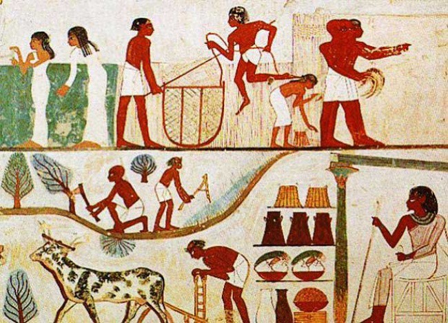 Mổ xẻ xác ướp Ai Cập, nhà khoa học phát hiện bằng chứng kinh ngạc - Ảnh 6.