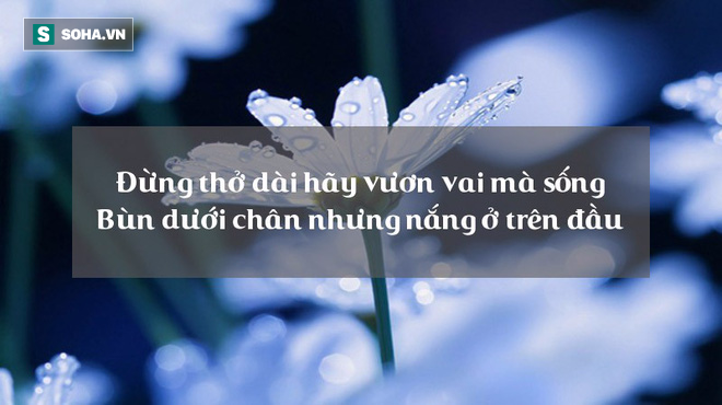9 luật trời bất khả phá vỡ, lĩnh hội được cả đời sẽ an nhiên! - Ảnh 3. 9 'luật trời' bất khả phá vỡ, lĩnh hội được cả đời sẽ an nhiên! 3