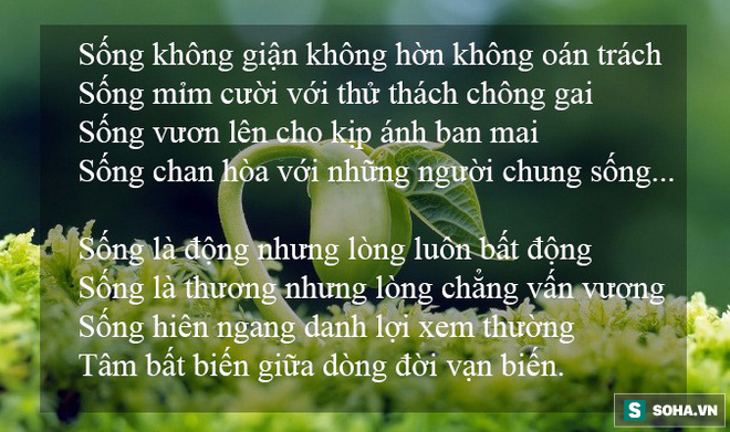 9 luật trời bất khả phá vỡ, lĩnh hội được cả đời sẽ an nhiên! - Ảnh 4. 9 'luật trời' bất khả phá vỡ, lĩnh hội được cả đời sẽ an nhiên! 4