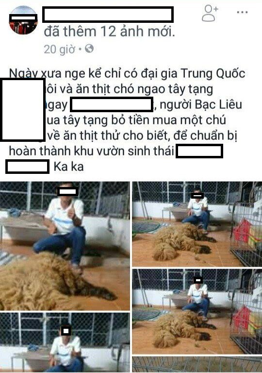 Mua chó ngao Tây Tạng về làm thịt nhậu rồi khoe trên Facebook, thanh niên Bạc Liêu bị chỉ trích dữ dội - Ảnh 2.