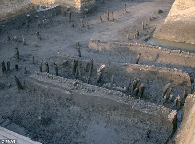 Mất 4 năm khai quật, nhà khảo cổ phát hiện hệ thống thủy lợi cổ nhất thế giới ở Trung Quốc - Ảnh 1.