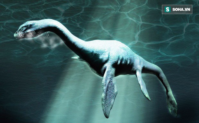 Phát hiện sinh vật biển khổng lồ ở Nam Cực, rất giống quái vật hồ Loch Ness 1