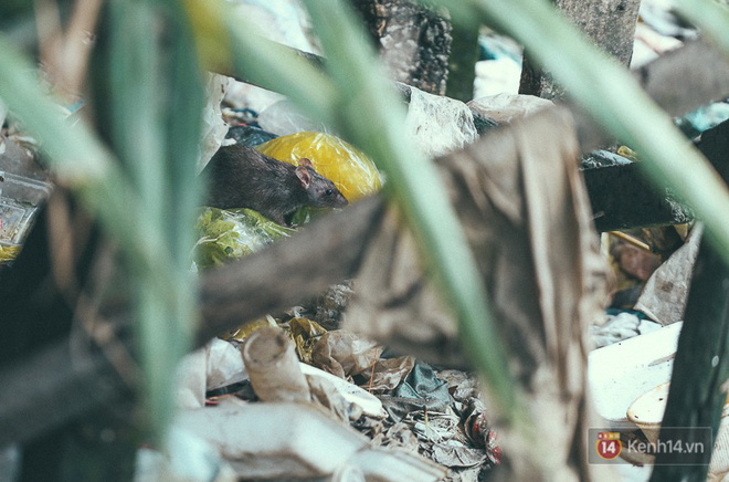 Cận cảnh cuộc sống tại nơi ô nhiễm nhất Sài Gòn, người dân làm nhà vệ sinh thải trực tiếp xuống con rạch 16