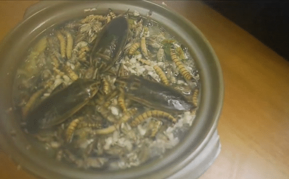 Có thứ kinh dị còn hơn cả 'tuyệt phẩm' đồ ăn thiu thối, siêu mùi mang tên: Lẩu côn trùng!