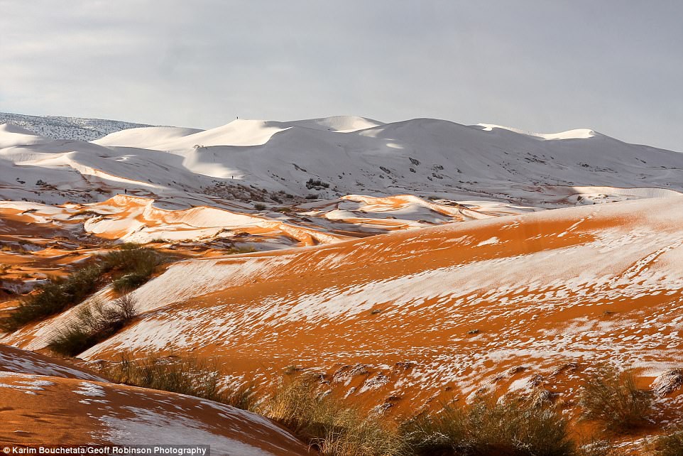 Thế giới lạnh siêu mạnh đến mức sa mạc Sahara nóng bỏng cũng bị tuyết phủ tới 40 cm 5