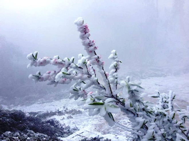 Thực hư thông tin vùng núi cao Nghệ An có tuyết rơi dày, nhiệt độ xuống dưới 0 độ C - Ảnh 2.