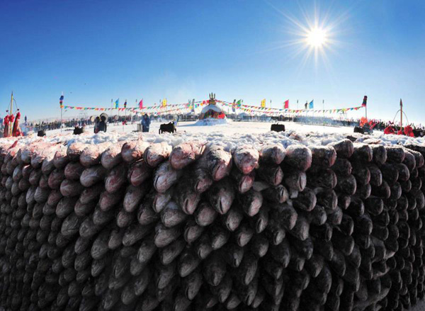 Độc đáo bức tường được xây bằng 2.000 con cá giữa hồ băng  4