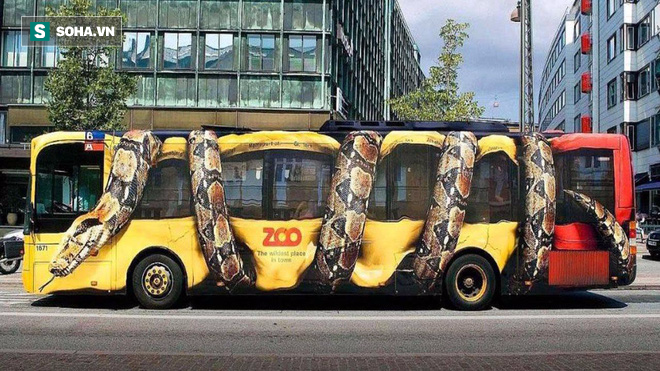Đã từng tồn tại loài rắn dài ngang chiếc xe bus, mới nghĩ đến đã thấy run - Ảnh 2.