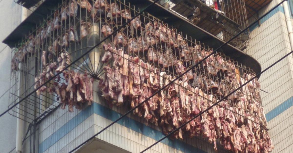 Trung Quốc: Hàng nghìn con cá được xếp tầng, vùi trong tuyết trên đường phố lớn, chào mừng tết Mậu Tuất 2018 8