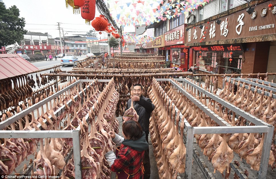 Trung Quốc: Hàng nghìn con cá được xếp tầng, vùi trong tuyết trên đường phố lớn, chào mừng tết Mậu Tuất 2018 - Ảnh 6.