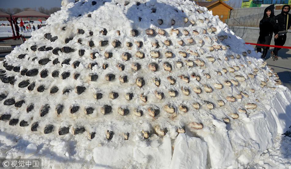 Trung Quốc: Hàng nghìn con cá được xếp tầng, vùi trong tuyết trên đường phố lớn, chào mừng tết Mậu Tuất 2018 - Ảnh 2.