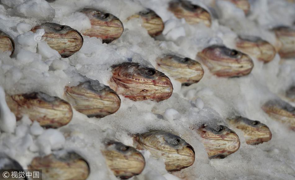 Trung Quốc: Hàng nghìn con cá được xếp tầng, vùi trong tuyết trên đường phố lớn, chào mừng tết Mậu Tuất 2018 3