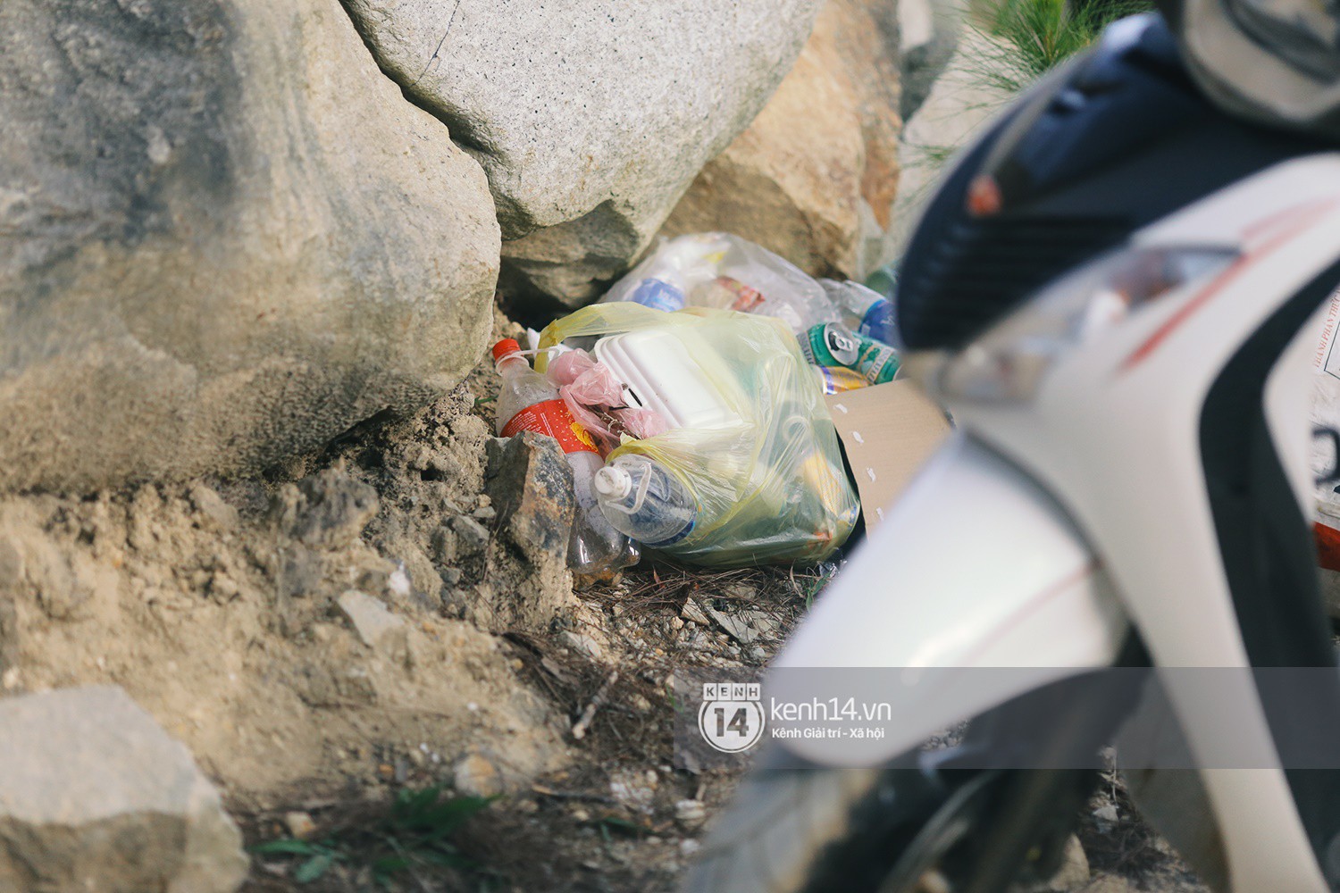 Nhiều bạn trẻ kéo đến Tuyệt tình cốc ở Đà Lạt để check-in dịp Tết, rác thải bắt đầu xuất hiện - Ảnh 10.