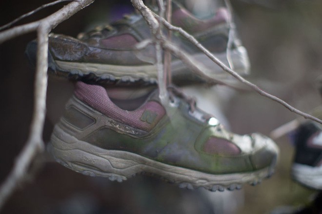 Khu rừng bí ẩn ở Canada: Hàng trăm đôi sneakers bị đóng đinh lên cây, không ai biết lý do vì sao - Ảnh 1.