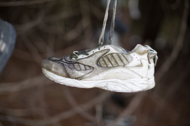 Khu rừng bí ẩn ở Canada: Hàng trăm đôi sneakers bị đóng đinh lên cây, không ai biết lý do vì sao - Ảnh 2.