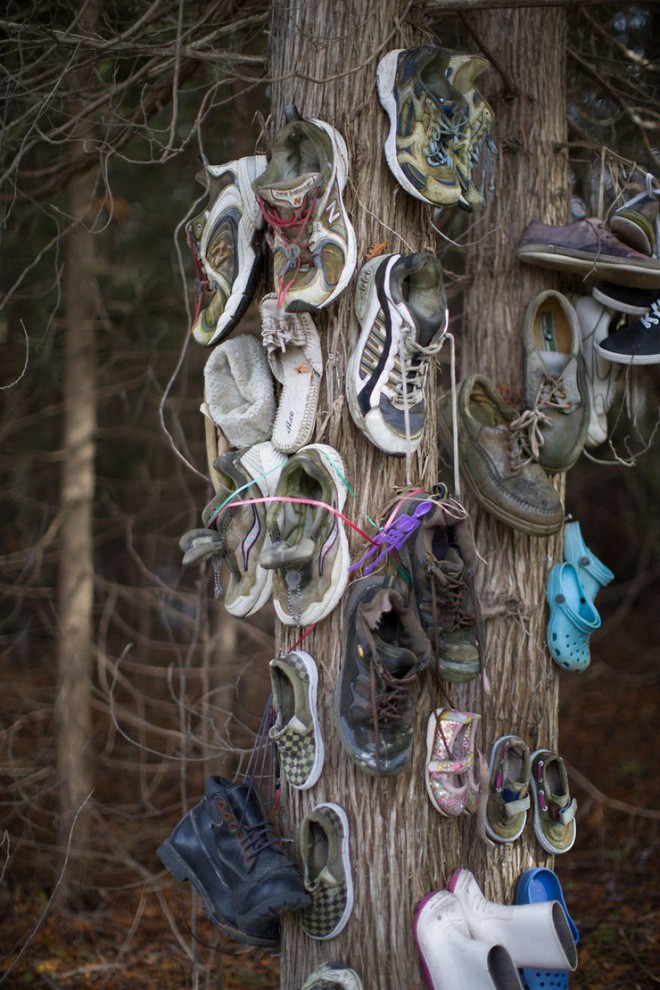 Khu rừng bí ẩn ở Canada: Hàng trăm đôi sneakers bị đóng đinh lên cây, không ai biết lý do vì sao - Ảnh 15.