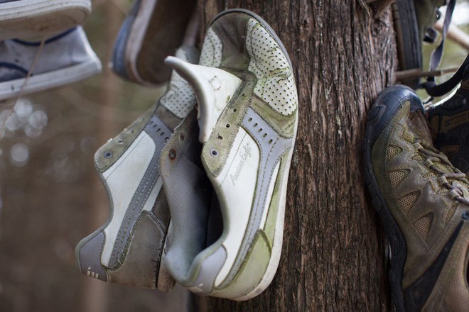 Khu rừng bí ẩn ở Canada: Hàng trăm đôi sneakers bị đóng đinh lên cây, không ai biết lý do vì sao - Ảnh 16.