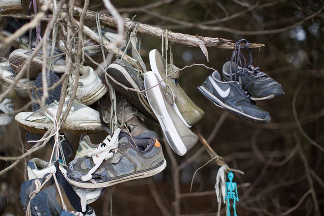 Khu rừng bí ẩn ở Canada: Hàng trăm đôi sneakers bị đóng đinh lên cây, không ai biết lý do vì sao - Ảnh 19.