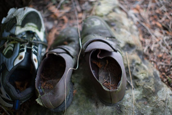 Khu rừng bí ẩn ở Canada: Hàng trăm đôi sneakers bị đóng đinh lên cây, không ai biết lý do vì sao - Ảnh 20.
