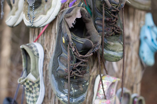 Khu rừng bí ẩn ở Canada: Hàng trăm đôi sneakers bị đóng đinh lên cây, không ai biết lý do vì sao - Ảnh 22.