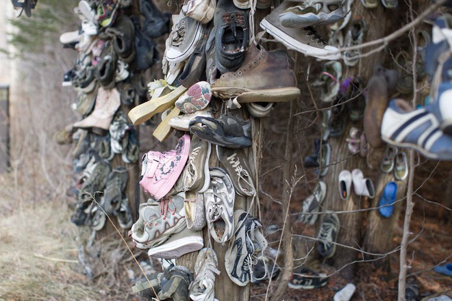 Khu rừng bí ẩn ở Canada: Hàng trăm đôi sneakers bị đóng đinh lên cây, không ai biết lý do vì sao - Ảnh 23.
