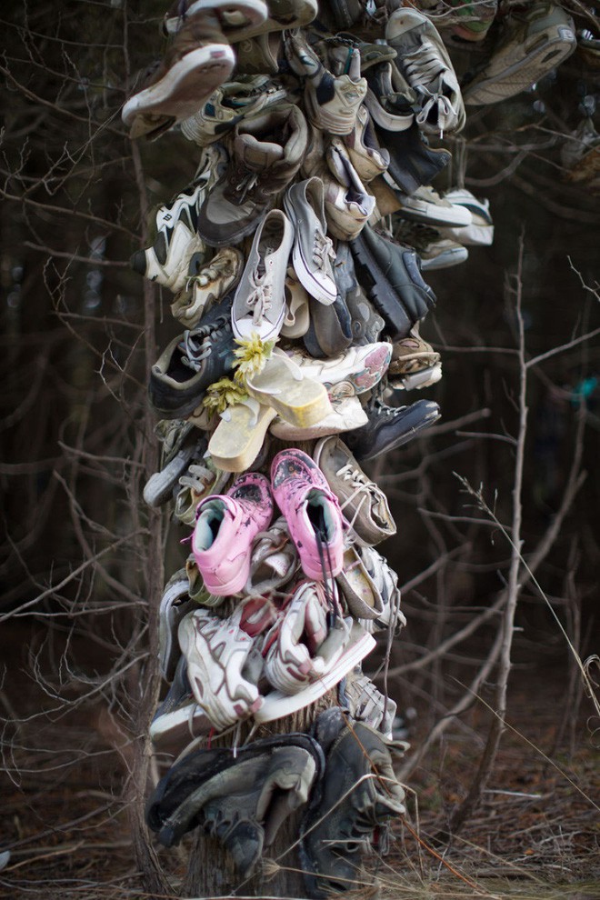 Khu rừng bí ẩn ở Canada: Hàng trăm đôi sneakers bị đóng đinh lên cây, không ai biết lý do vì sao - Ảnh 24.