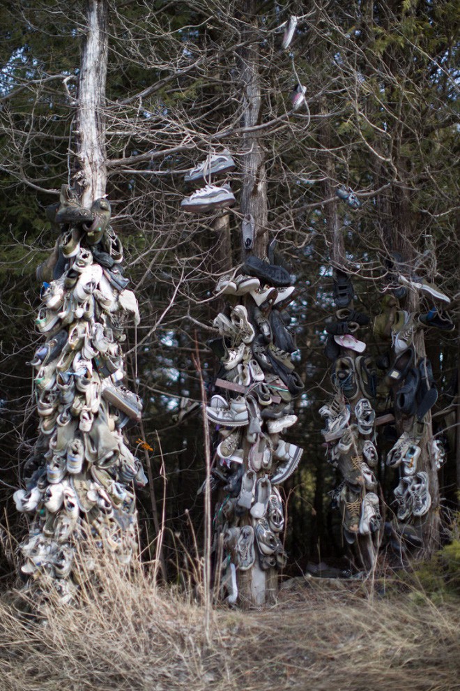 Khu rừng bí ẩn ở Canada: Hàng trăm đôi sneakers bị đóng đinh lên cây, không ai biết lý do vì sao - Ảnh 26.