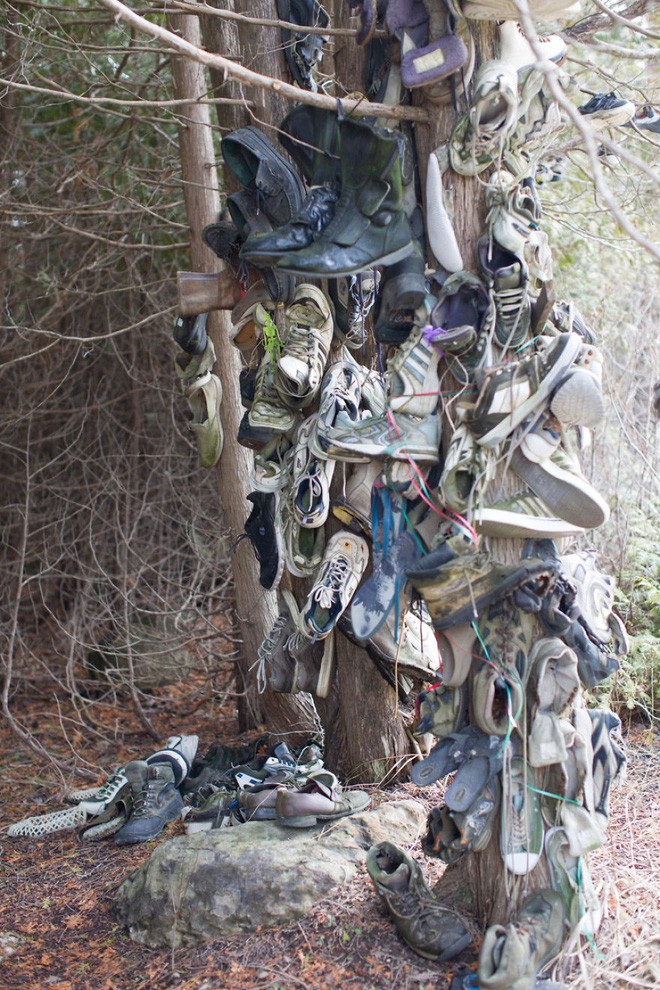 Khu rừng bí ẩn ở Canada: Hàng trăm đôi sneakers bị đóng đinh lên cây, không ai biết lý do vì sao - Ảnh 27.
