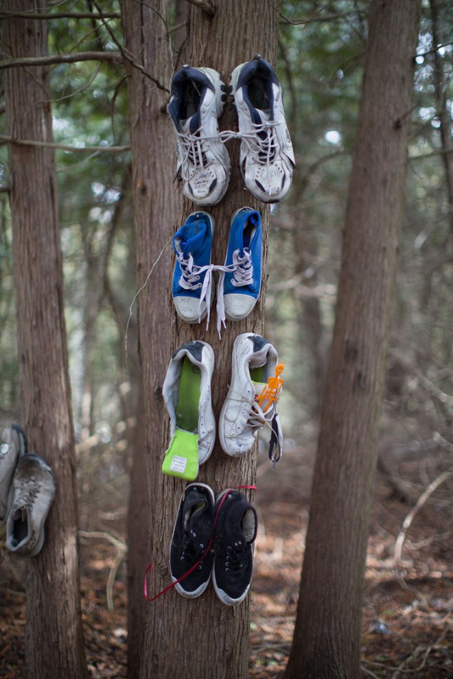 Khu rừng bí ẩn ở Canada: Hàng trăm đôi sneakers bị đóng đinh lên cây, không ai biết lý do vì sao - Ảnh 4.