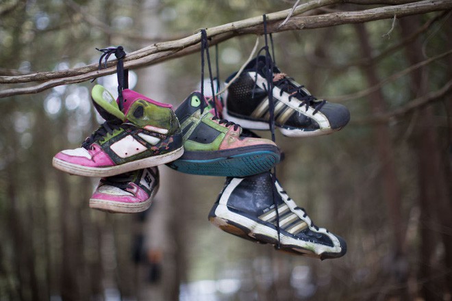 Khu rừng bí ẩn ở Canada: Hàng trăm đôi sneakers bị đóng đinh lên cây, không ai biết lý do vì sao - Ảnh 6.