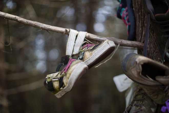 Khu rừng bí ẩn ở Canada: Hàng trăm đôi sneakers bị đóng đinh lên cây, không ai biết lý do vì sao - Ảnh 7.