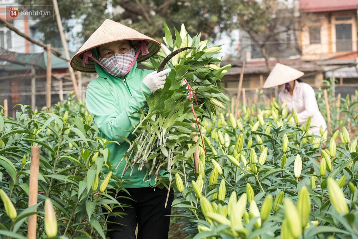 8/3 của những người phụ nữ không bao giờ thiếu hoa: “Mình thích thì mang hoa về tự cắm, chẳng cần chờ ai tặng cả!” 7 8/3 của những người phụ nữ không bao giờ thiếu hoa: “Mình thích thì mang hoa về tự cắm, chẳng cần chờ ai tặng cả!” 7