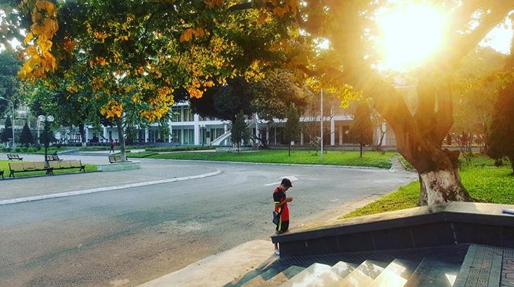 Bách Khoa, Sư Phạm mùa cây thay lá, đẹp dịu dàng như thu ở trời Âu - Ảnh 13. Bách Khoa, Sư Phạm mùa cây thay lá, đẹp dịu dàng như thu ở trời Âu 16