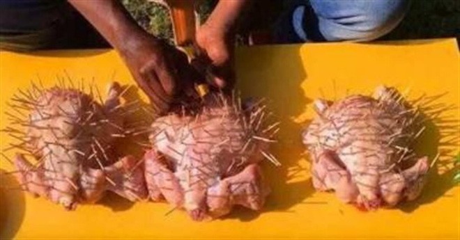 Cắm 30 cây tăm vào con gà rồi làm thêm vài bước nữa, bạn sẽ có món ngon tuyệt vời - Ảnh 1. Cắm 30 cây tăm vào con gà rồi làm thêm vài bước nữa, bạn sẽ có món ngon tuyệt vời - Ảnh 1.