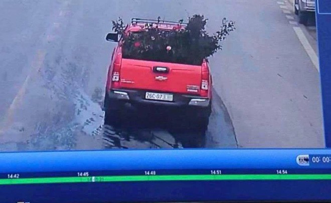 Công an trích xuất camera truy tìm chiếc xe ô tô vào vườn trộm cây hoa hồng cổ gần 20 tuổi - Ảnh 1.